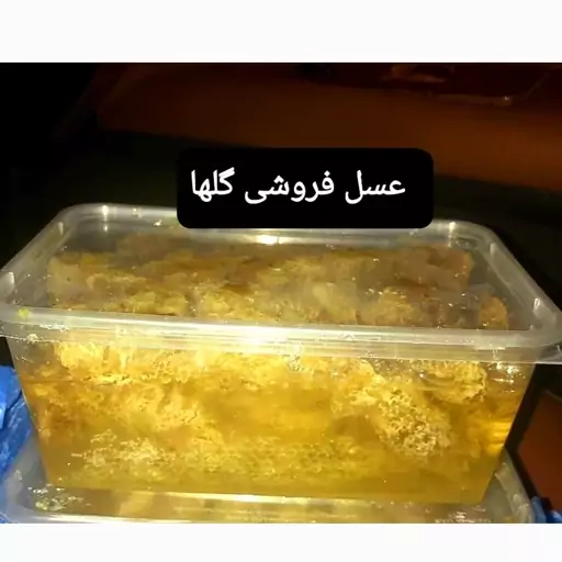 عسل شاخه ای وحشی