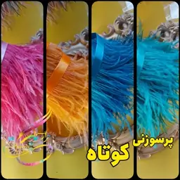 پر سوزنی تراکم بالا   قد 12 سانتی   درجه یک . رنگ نارنجی .ابی .ابی روشن . سرخابی 