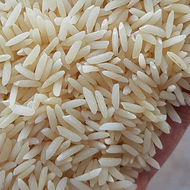برنج کشت دوم باعطرعالی خوشپخت بابرندطراوت صابریان دربسته های 10کیلویی
