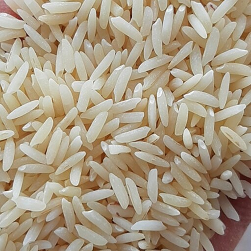 برنج کشت دوم دربسته های 5کیلویی باعطرفوق العاده عالی ارگانیک بابرندطراوت صابریان