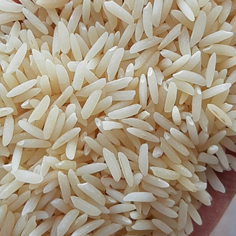 برنج کشت دوم (امرالهی) باعطروبوی عالی وبابرندطراوت صابریان 