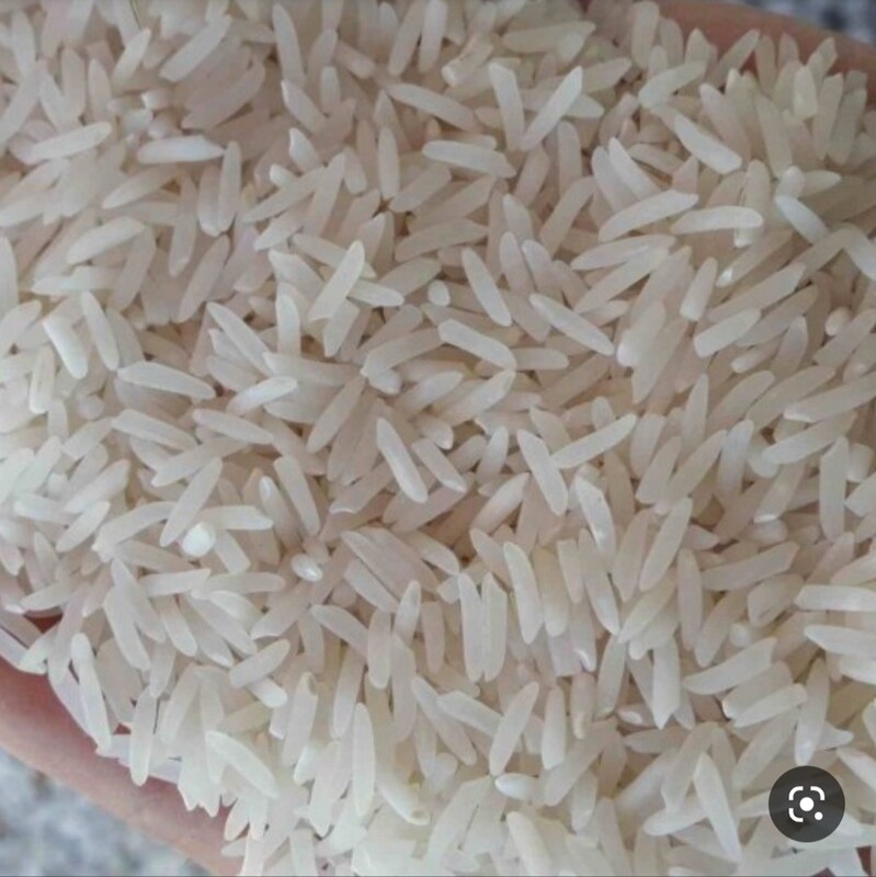 برنج کشت دوم بینام (امرالهی) ازبرندمرغوب ومطمئن طراوت صابریان ازجویبارمازندران