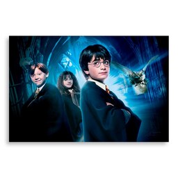 تابلو شاسی طرح فیلم هری پاتر Harry Potter مدل NV0394