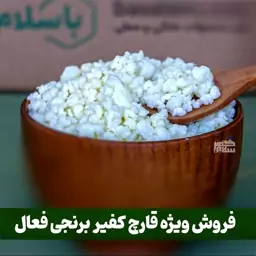 قارچ کفیر برنجی  فعال  (40 گرمی) به همراه صافی پارچه ای  آموزش رایگان محصولات کفیر 