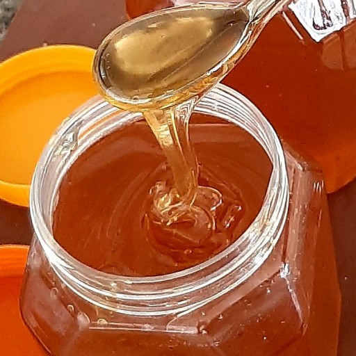عسل ترنجبین یک کیلویی با کیفیت
