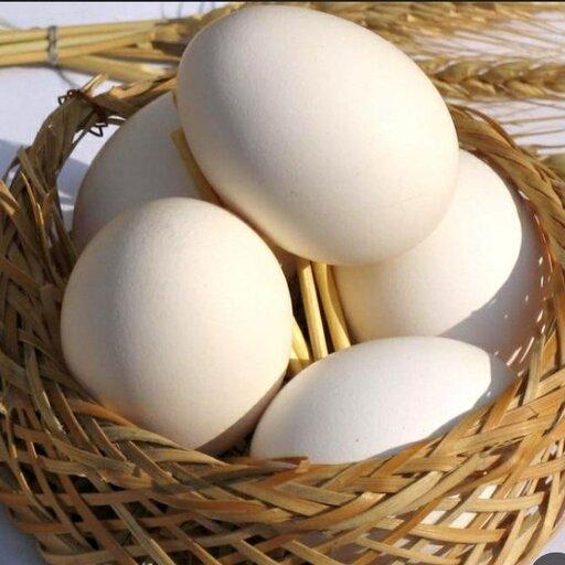 تخم مرغ دو زرده (20 عددی)