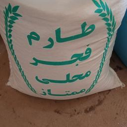 برنج فجر مازندران