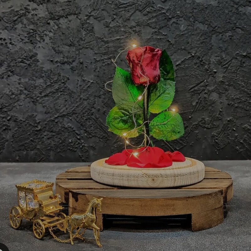  رز جاودان قرمز باکس گل مدل ققنوس با ریسه آفتابی محصول مستر رز 