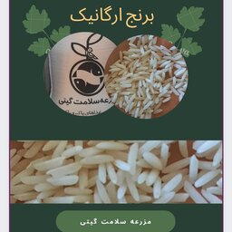 برنج شیرودی ارگانیک مزرعه سلامت گیتی ،محصول شالیزارهای گیلان، خوش طعم،سورت شده و بدون شکستگی ،در  کیسه های 10 کیلوگرم 