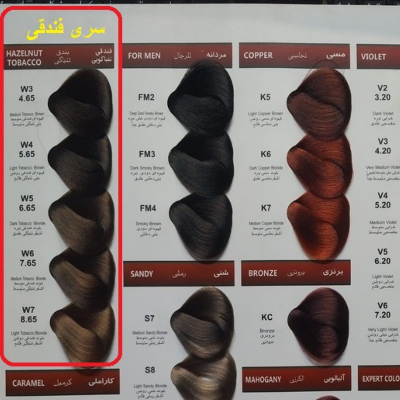 رنگ مو ولنسی سری فندقی با 5 طیف رنگی (مدل مورد نظر خود را پیام دهید)