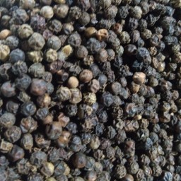 فلفل سیاه درشت (40g)طبیب
