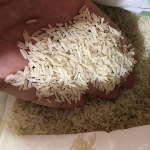 برنج طارم فجر درجه یک 5 کیلویی (خریدِ مستقیم از شالیکار)