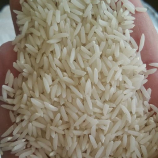 برنج دمسیاه درجه یک فسفری 10 کیلویی خرید مستقیم از شالیکار ارسال رایگان