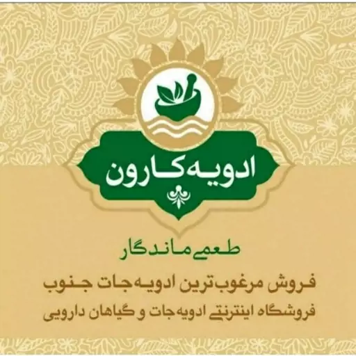 رازیانه سبز درجه1 (100گرم) کارون