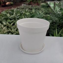 گلدان سفید پلاستیکی (درجه یک)(سایز کاکتوس و ساکولنت