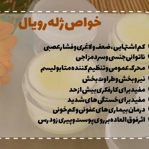 ژل رویال سیدجمال 20گرمی مستقیم از زنبور ستان