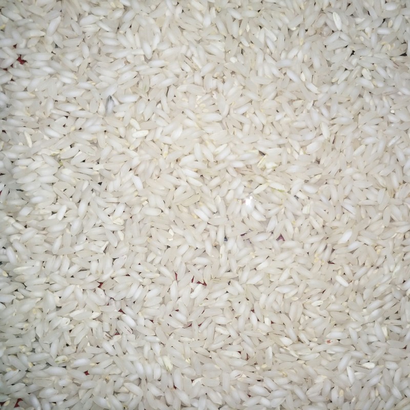 برنج عنبربو(برای دریافت کد ارسال رایگان پیام بدید)