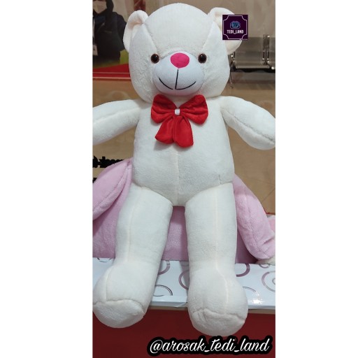 توضیحات تصویر