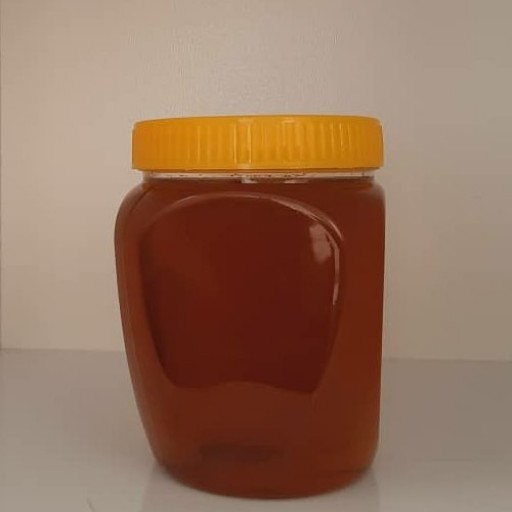 عسل گون ( یک‌ کیلوگرمی )