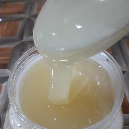عسل مرکبات دیابتی(1000گرم) 