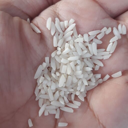 برنج سرلاشه شیرودی خوشپخت ناظری کناری 5کیلویی ارسال رایگان