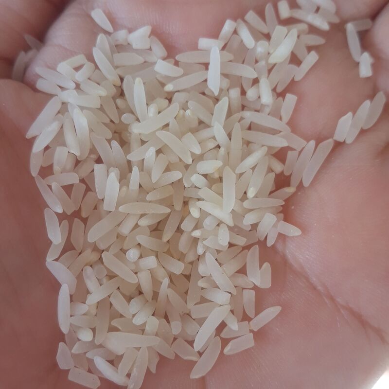برنج فریدونکنار  لاشه فجر معطر  ناظری کناری 5کیلویی ارسال رایگان