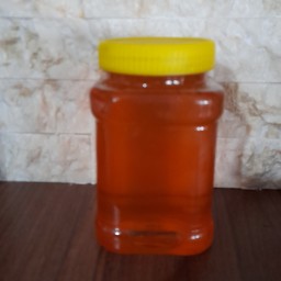 عسل کوهی (مخلوط خارشترو اویشن و گلگاوزبون) (1800گرمی)