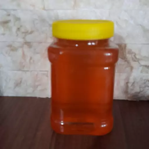 عسل کوهی (مخلوط خارشترو اویشن و گلگاوزبون) (1800گرمی)