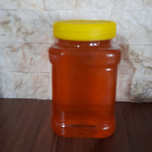عسل کوهی (مخلوط خارشتر و اویشن و گلگاوزبون) (2500گرمی)