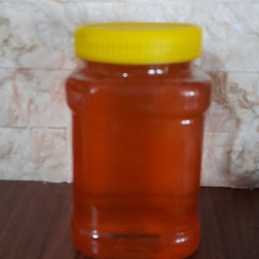 عسل کوهی (مخلوط خارشتر و اویشن و گلگاوزبون) (300گرمی)