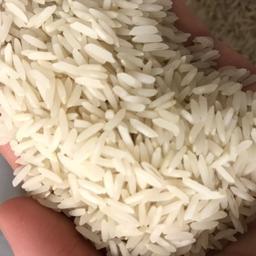 برنج هاشمی معطر آستانه اشرفیه 120 کیلو (12بسته10کیلویی)