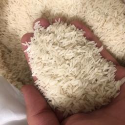 برنج صدری دمسیاه سفارشی 20 کیلو (فوق اعلاء) آستانه اشرفیه (2کیسه10 کیلویی