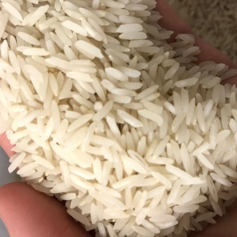 برنج هاشمی معطر آستانه اشرفیه 20 کیلو 