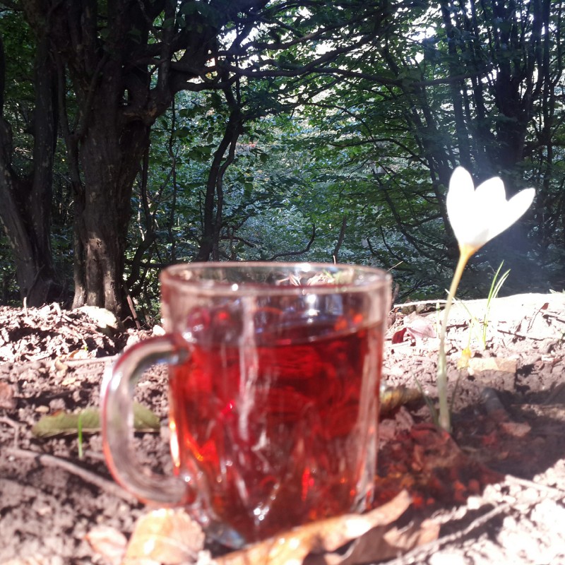 چای سرگل خوش عطر بهاره لاهیجان نیم کیلویی 1402