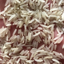 برنج فجر (طارم فجر) درجه یک فسفری 6 کیلویی، ارسال رایگان