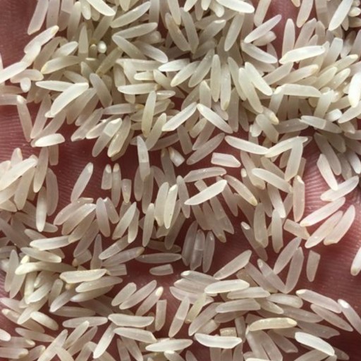 برنج فجر (طارم فجر) درجه یک فسفری 9 کیلویی، ارسال رایگان