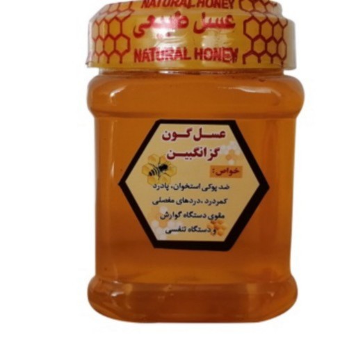 عسل ارگانیک گون(دو کیلو)