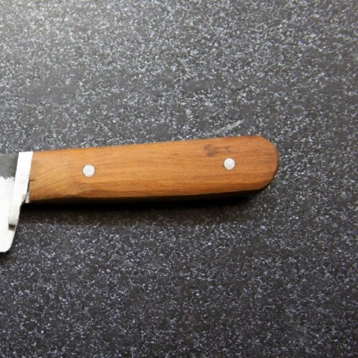 چاقو راسته بر آشپزخانه1