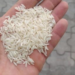 برنج محلی پرمحصول آستانه