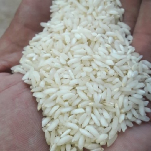 برنج عنبر بو (10 کیلوگرمی)
