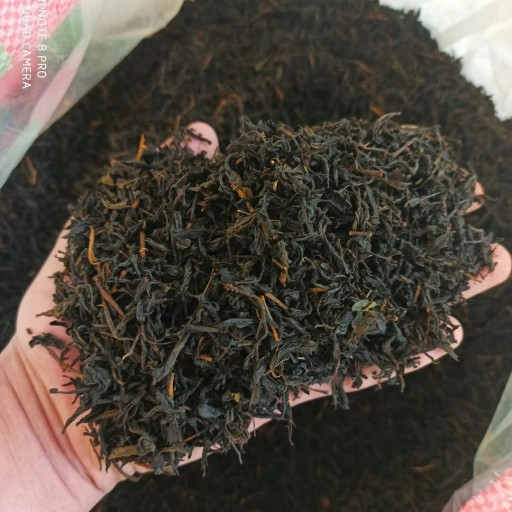چای قلم بهاره 1400(500 گرمی) گیلان