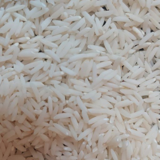 برنج هاشمی درجه یک اعلا گیلان زیباکنار ده کیلویی