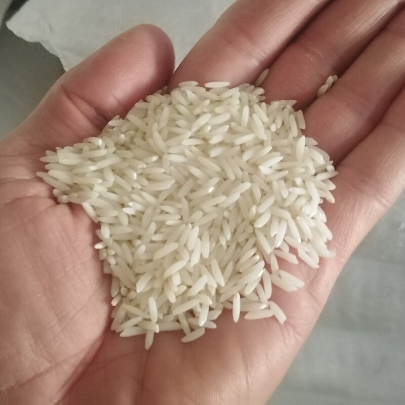 برنج فجر یک الکه 10 کیلو 750000خوشپخت