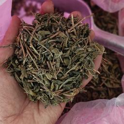 چای سبز قلم  ساچمه ای 1401 بهاره (900گرمی)