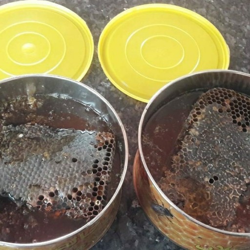 عسل چندگیاه طبیعی و بهاره ترکیبی 1 کیلویی سبلان(مستقیم از زنبوردار)