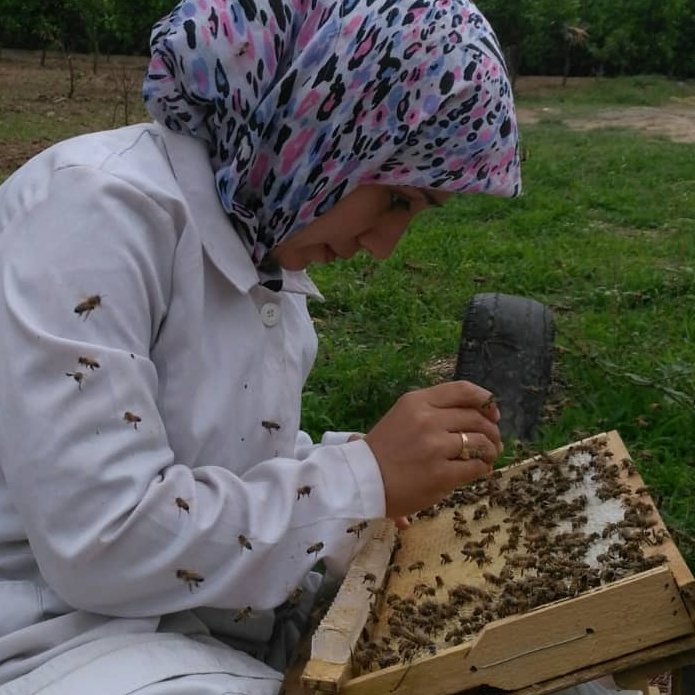 ژل رویال سلامت یاوری