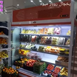 یخچال میوه فروشگاهی صنایع برودتی پژمان