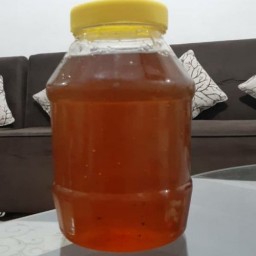 عسل وحشی شهد نیم کیلویی(عسل فروشی خزر)