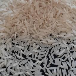 برنج ایرانی فجر
قیمت مناسب
بسته بندی 10 کیلوگرم