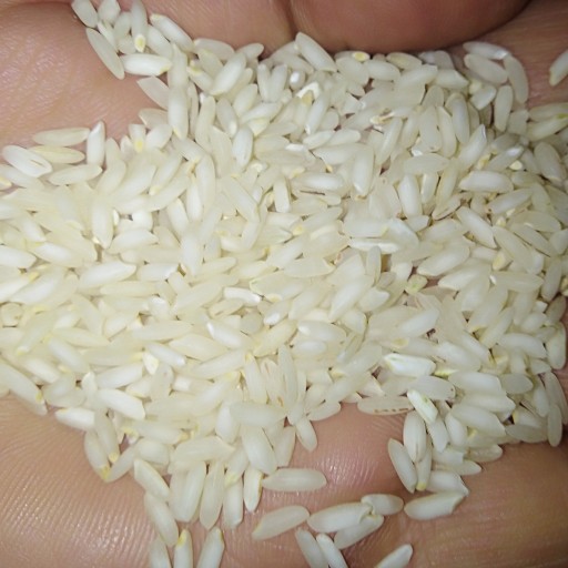برنج مرغوب ایرانی عنبر بو